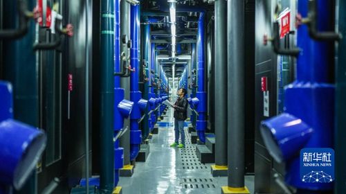 數字引擎驅動山貨出山 網絡技術拓寬貴州特色食品發展新路徑